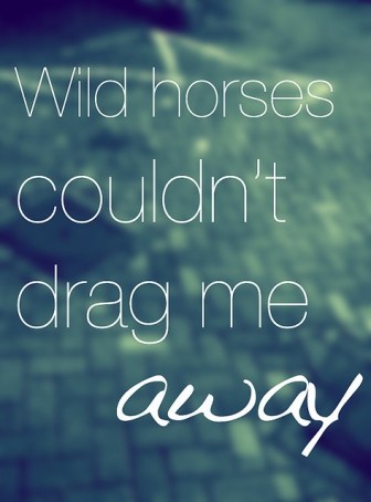 wild wild horses 2