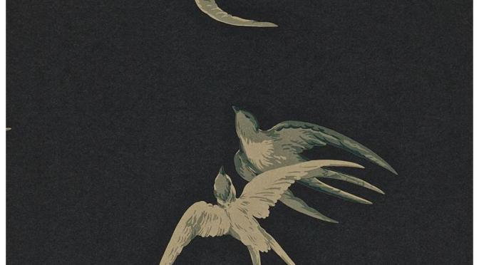 Five Bold Wallpaper Choices