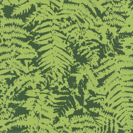 fern_-_green