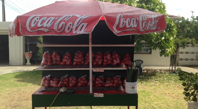 The House of Tomatoes