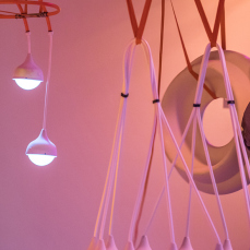 flockomania-by-zoe-robertson-image-credit-christian-kipp-2