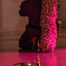 flockomania-by-zoe-robertson-image-credit-christian-kipp-20