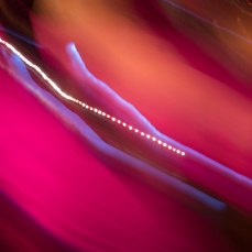 flockomania-by-zoe-robertson-image-credit-christian-kipp-44